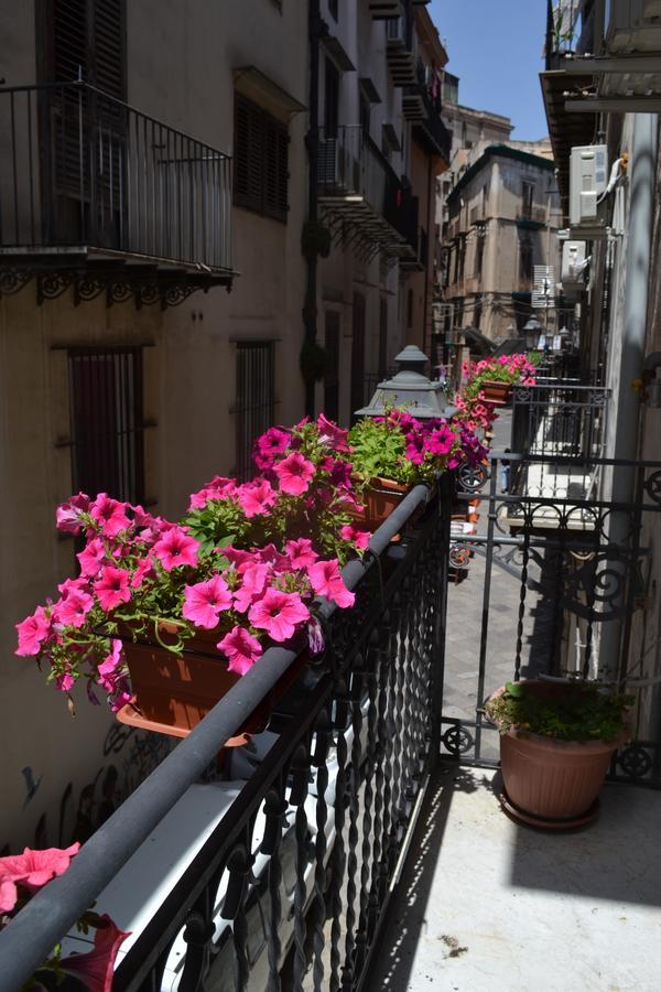 Sunflower Garden Palermo Exteriér fotografie